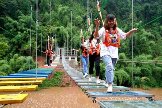 网红大秋千 社会热点新闻事件及点评,社会热点下的道德反思与法律探讨