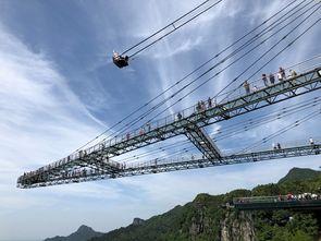 网红大秋千 社会热点新闻事件及点评,社会热点下的道德反思与法律探讨