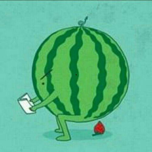 瓜在体育圈是什么意思,揭秘体育界的神秘“瓜”文化