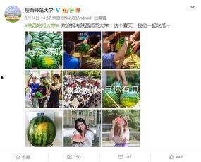 今日吃瓜学生校园什么网站,学生热议焦点一网打尽